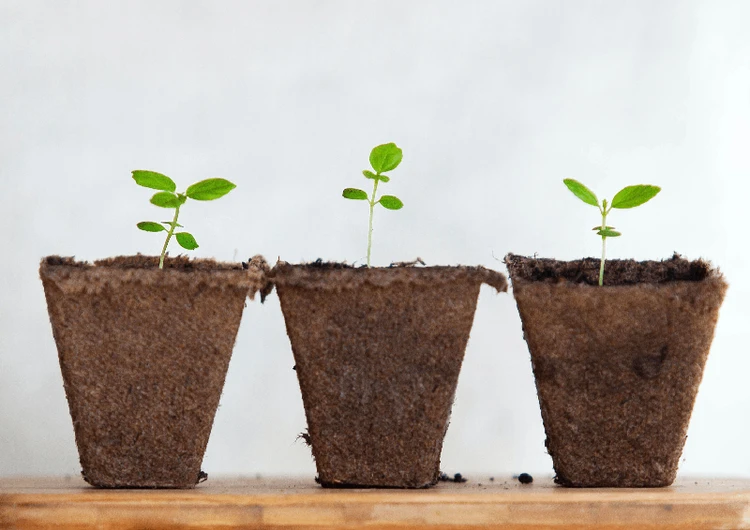 Una relazione da coltivare