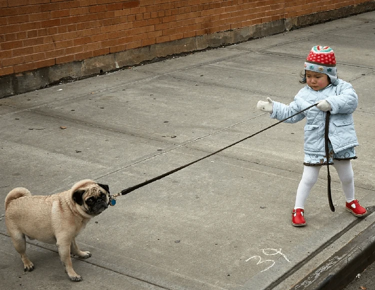 Campagne di lead generation