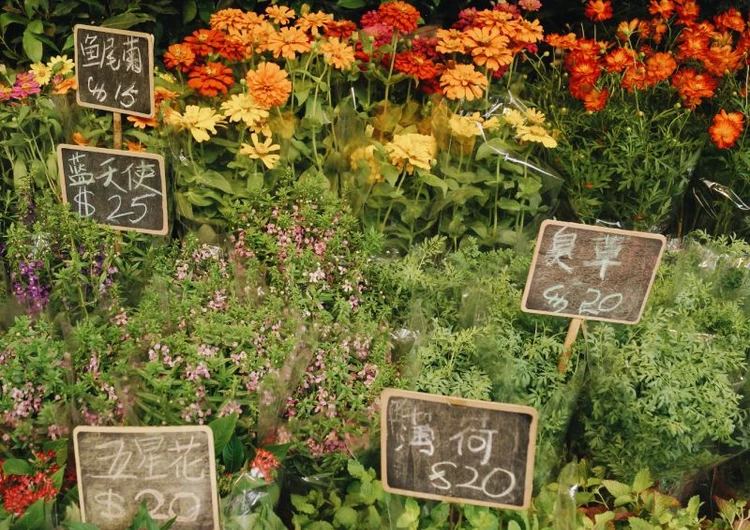 Google Tag Manager: perché lo devi utilizzare