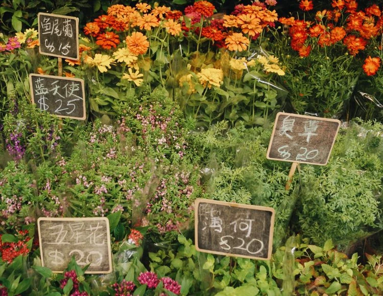 Google Tag Manager: perché lo devi utilizzare