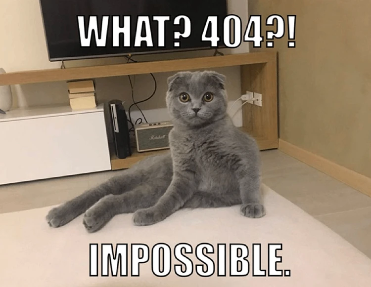 meme 404
