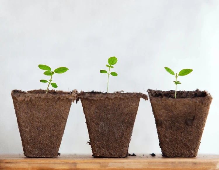 Una relazione da coltivare