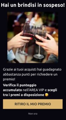 Banner personalizzato per il sito Famiglia Castagnedi, rivolto agli utenti iscritti al programma VIP.